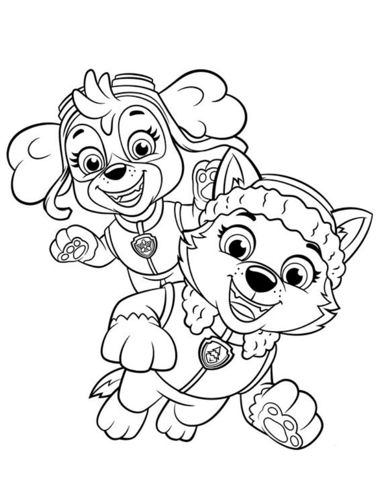 Ausmalbild Paw Patrol Skye Und Everest