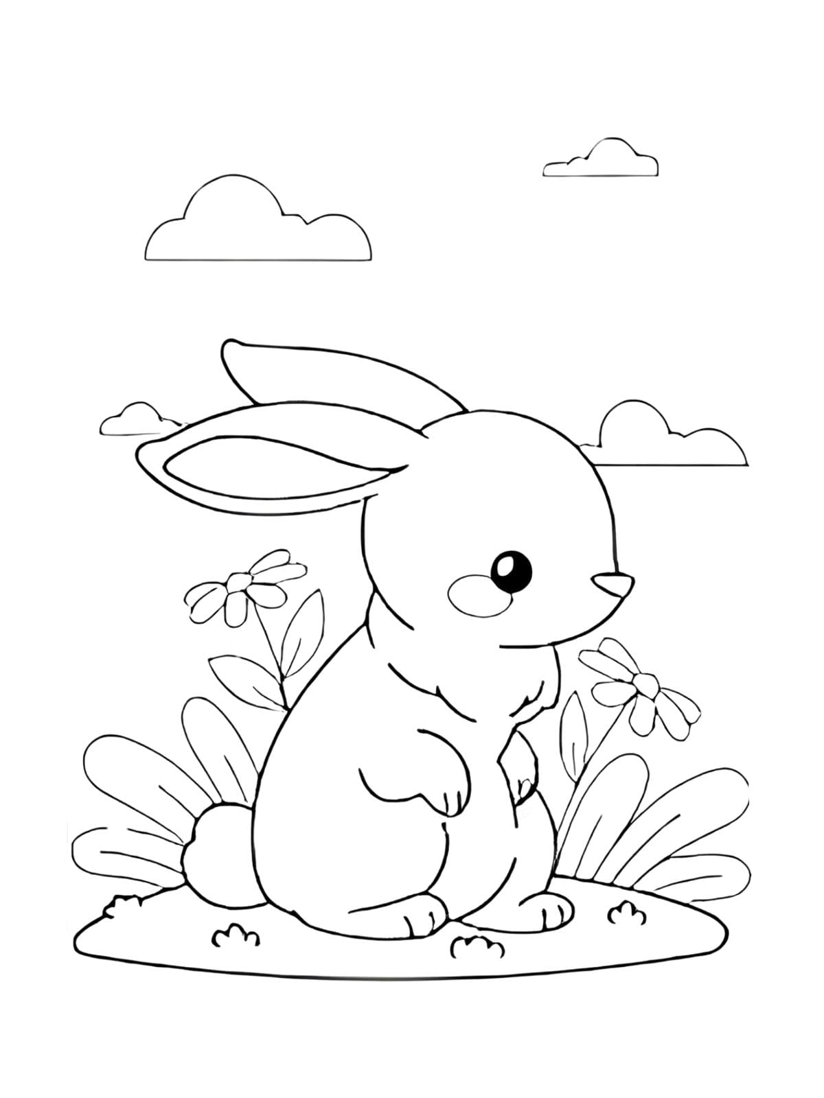 Hase Ausmalbilder Mit Blumenwiese