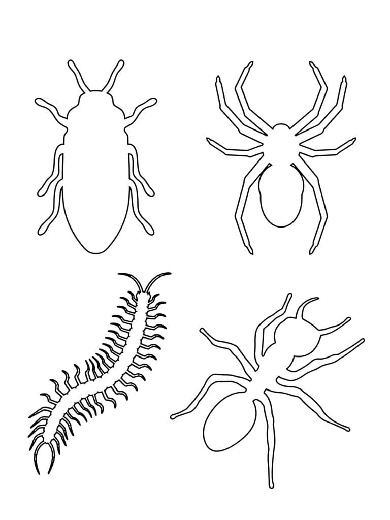 Ausmalbilder Gefährliche Insekten