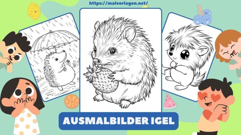 Ausmalbilder Igel