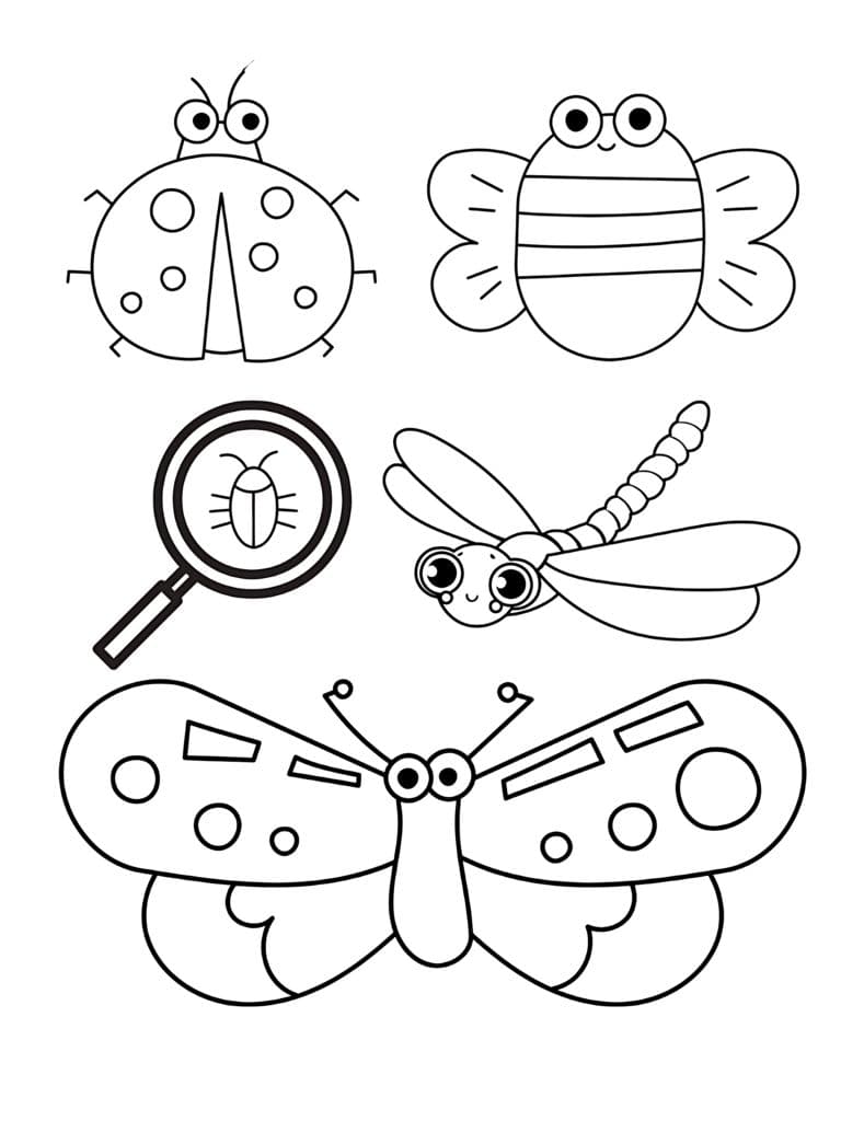 Ausmalbilder Schöne Insektenwelt