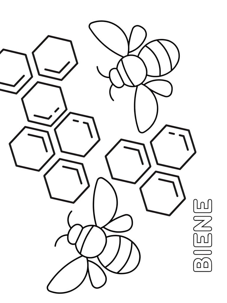 Ausmalbilder Von Bienen Im Honig