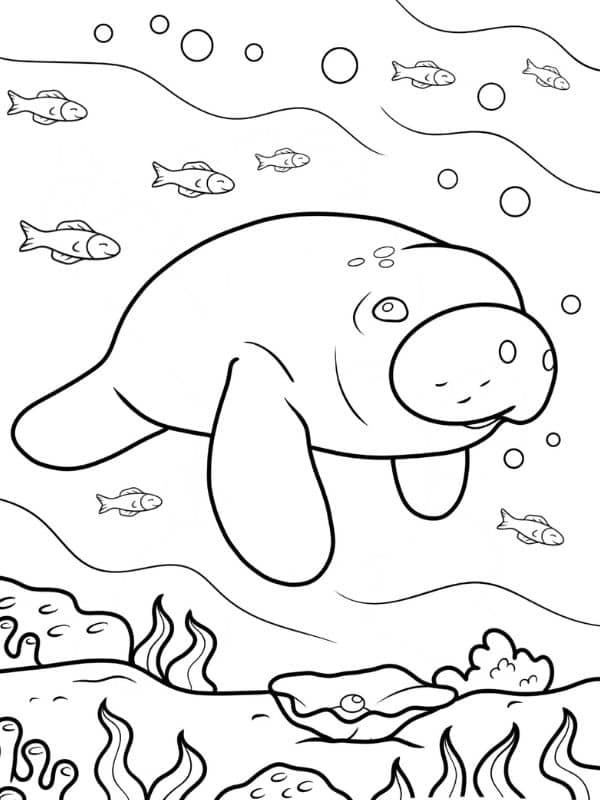 Manatee Ausmalbild