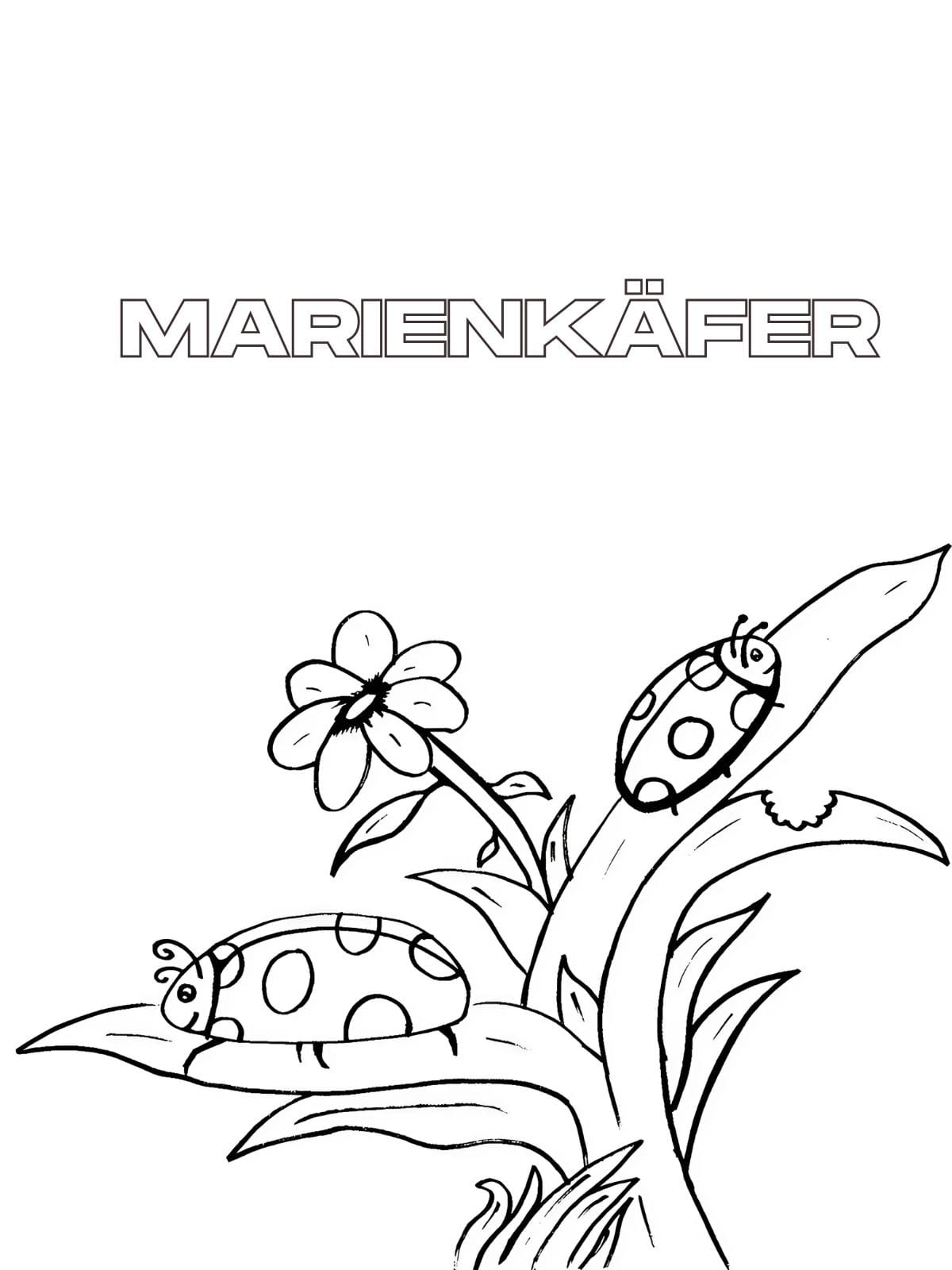 Marienkaefer Ausmalbilder Mit Blumen